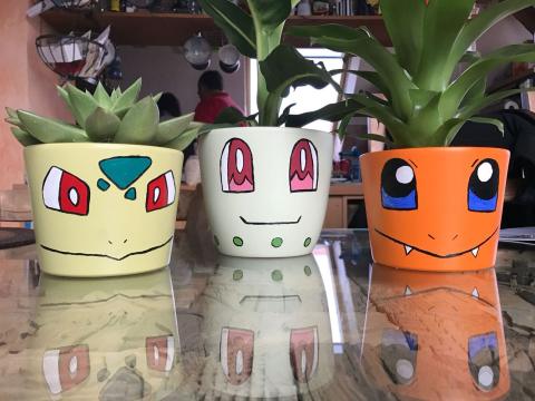 succulent plants in colorful planters decorated with pokemon faces