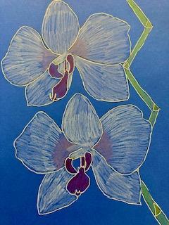 Two hand-drawn orchids on a plain background. 