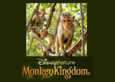 DisneyNature logo, with a picture of monkeys 
