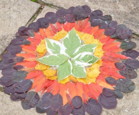 circular artwork made with leaves