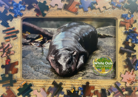 A picture frame with puzzle pieces on it with a hippo picture inside.