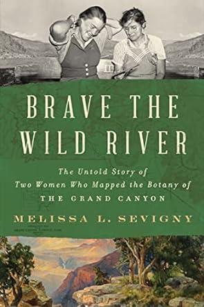 Brave the Wild River cover