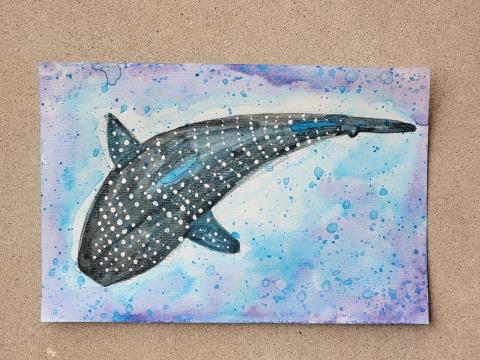 An example of the project, a watercolor depiction of a large dark blue whale shark swimming in light blue and purple water.