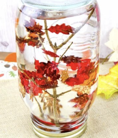 Upside down jar with leaves and water