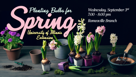 planting bulbs program
