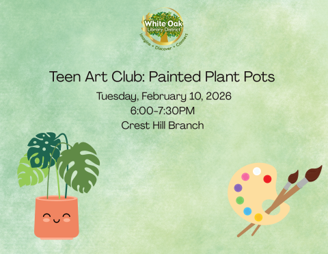 Painted Plant Pots 