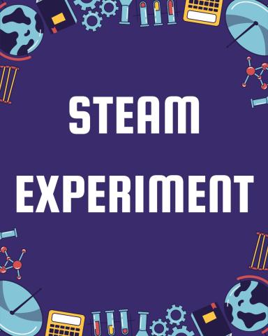 STEAM experiment
