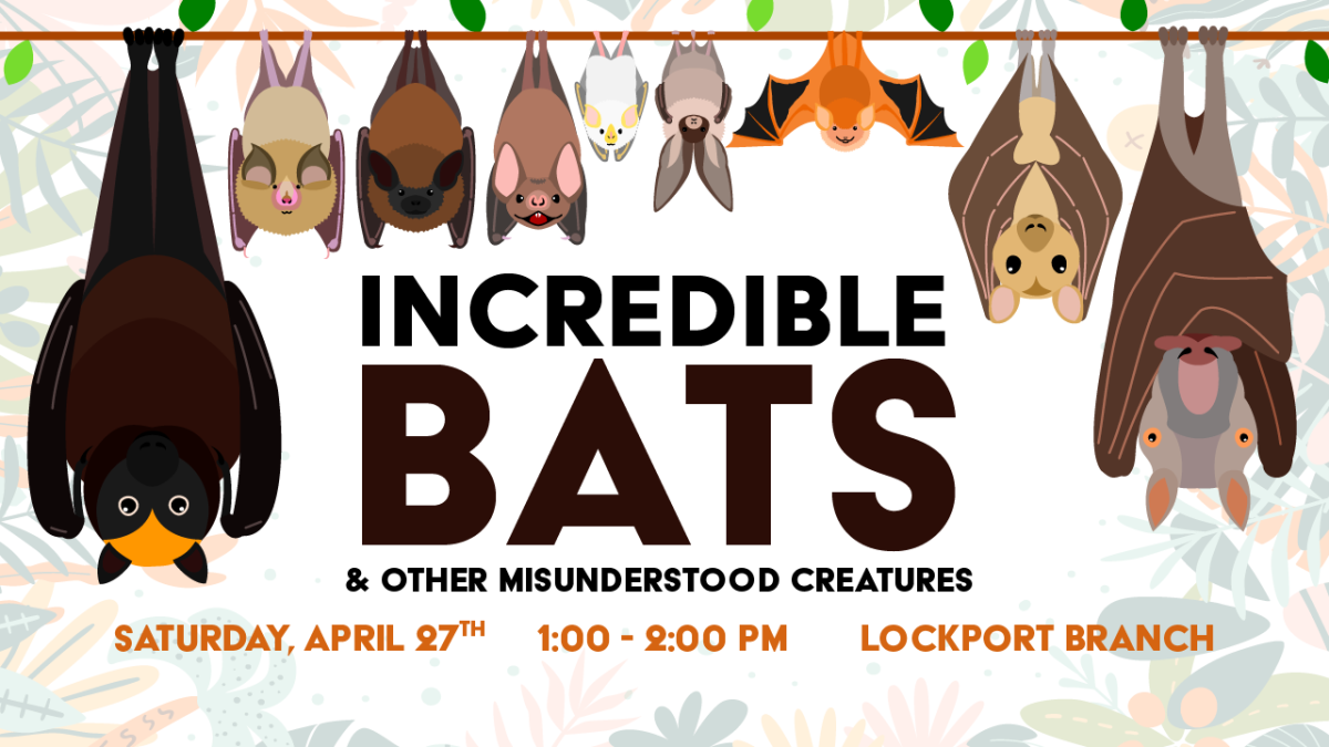 Incredible Bats Program