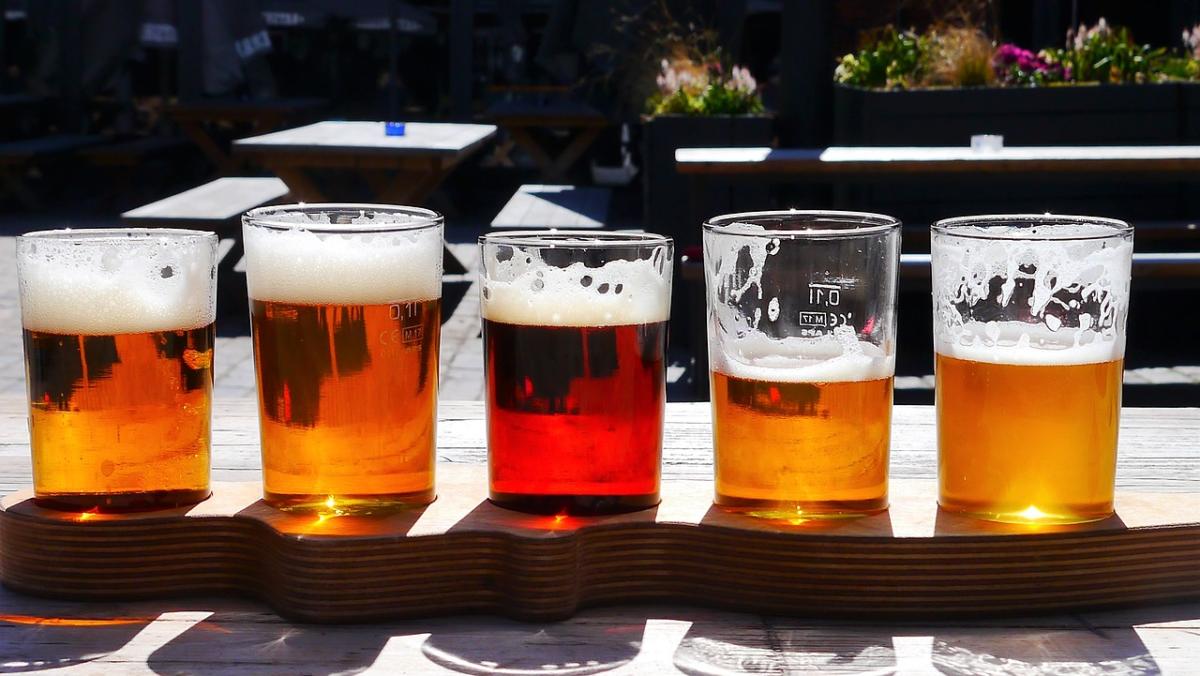 A tasting board with various glasses of beer on it.