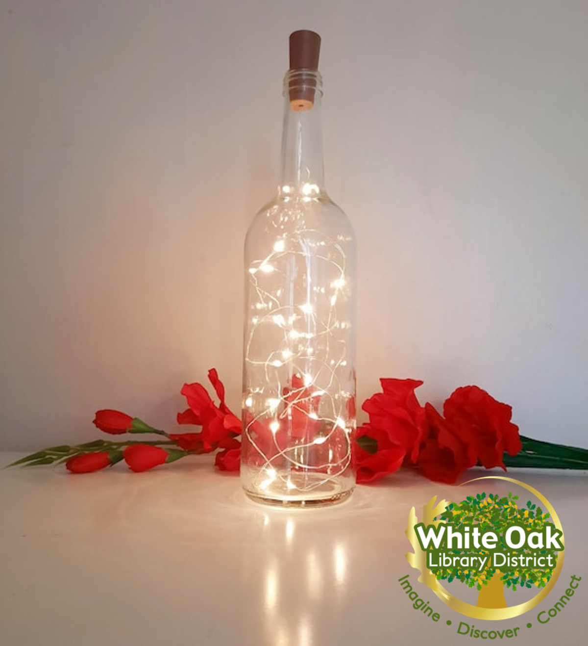 Adult Craft Etched Solar Wine Bottle