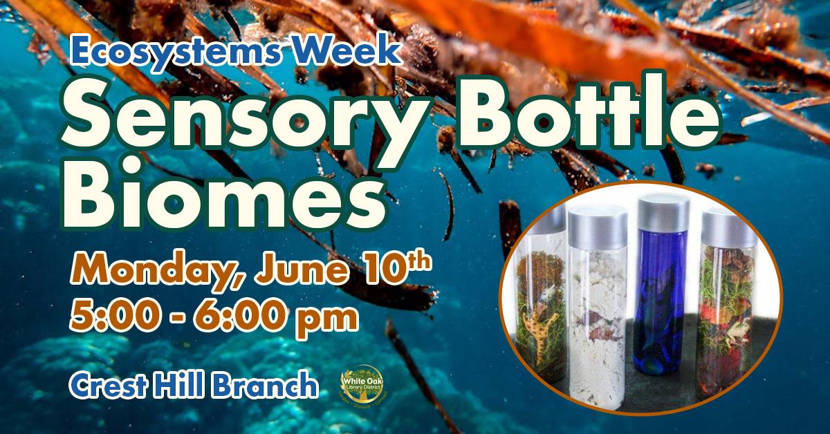 Sensory Bottle Biomes