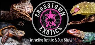 Crosstown Exotics Traveling Reptile and Bug Show