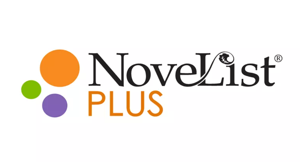 computer class: novelistPlus