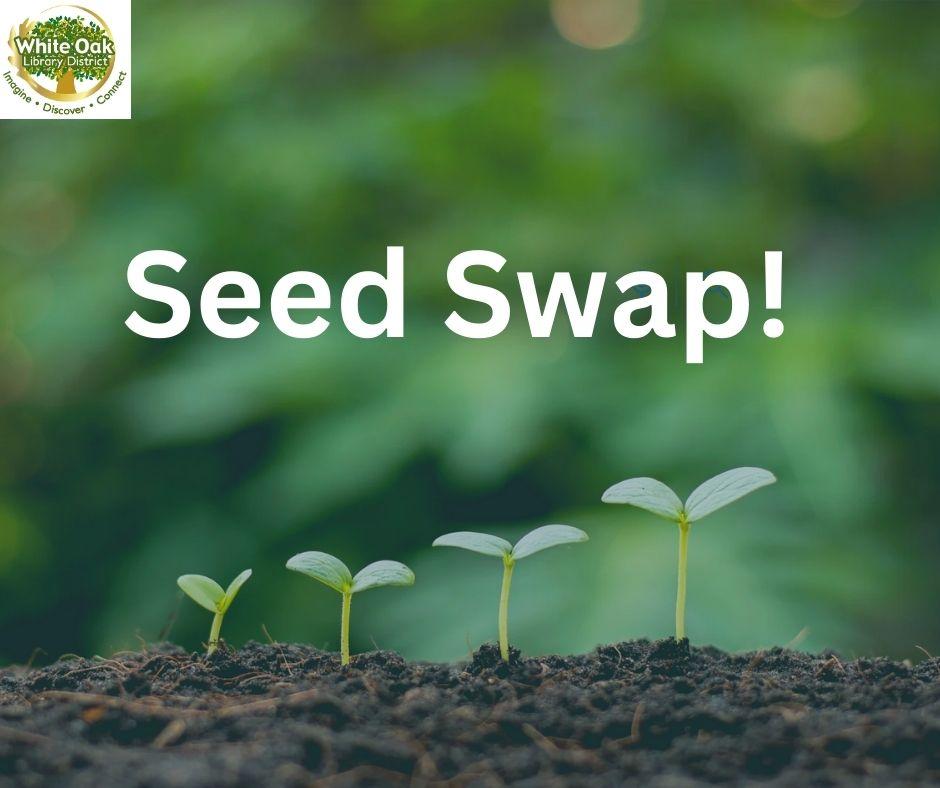 Seed swap with seedlings growing below