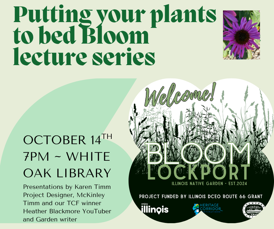 BLOOM Lockport: Putting your plants to bed